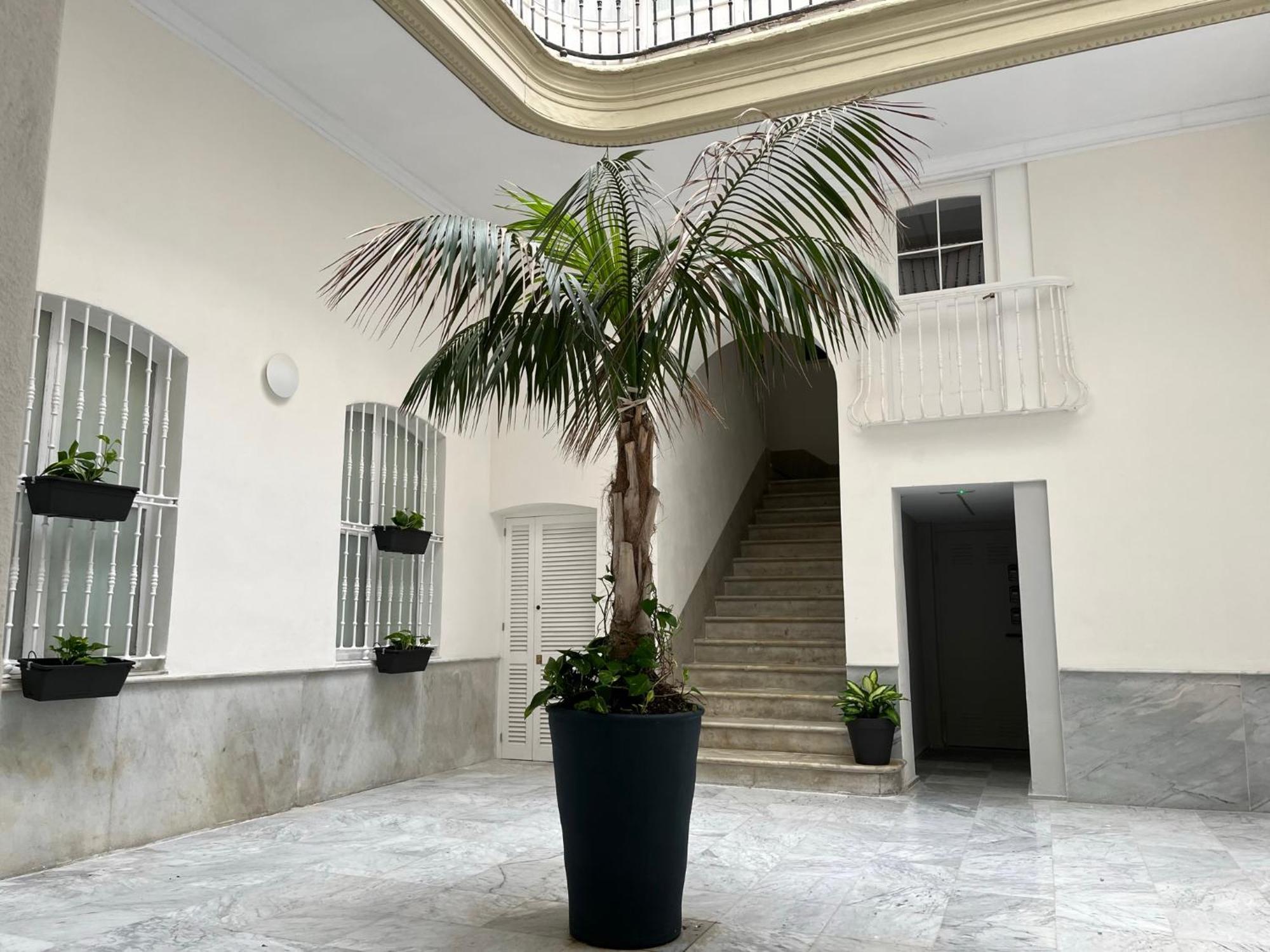 Casa Manuel De Falla By Cadiz4Rentals Εξωτερικό φωτογραφία